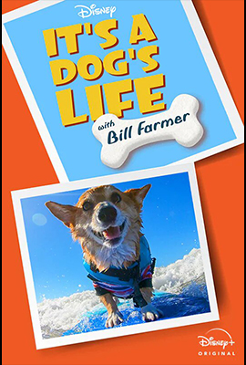 TV show poster for 'It's A Dog's Life,' a Disney original hosted by Bill Farmer, the voice actor of Goofy and Pluto.