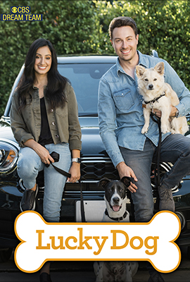 TV show poster for 'Lucky Dog,' an Emmy Winner featuring rescued shelter dogs trained and placed in new forever homes.