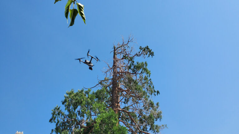 The DJI Inspire 2 drone soars gracefully through the trees in Wrightwood, California, during a Toyota Tacoma shoot. The drone captures dynamic aerial shots amidst the snowy forest landscape, showcasing the precision and skill of the AMK Films team.